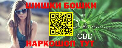 индика Дубна