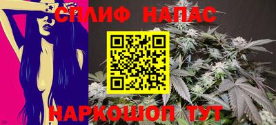 СК Донской