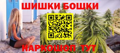 индика Дубна