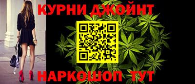 индика Дубна