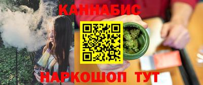 индика Дубна
