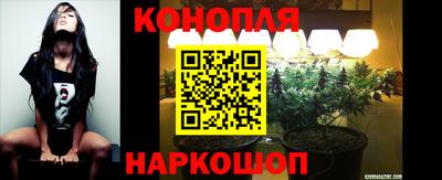 СК Донской