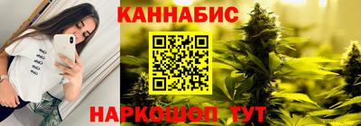 индика Дубна