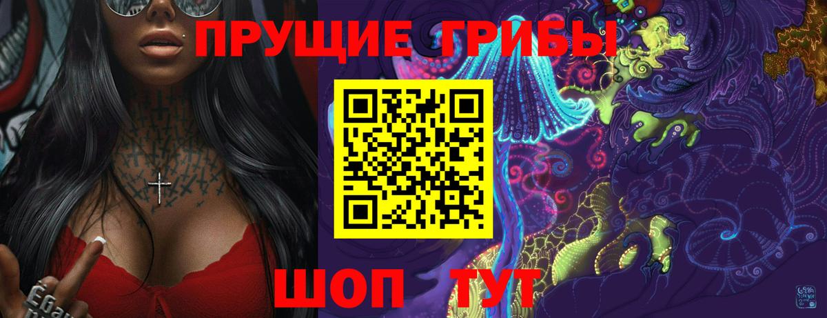 Галлюциногенные грибы Psilocybe Мичуринск