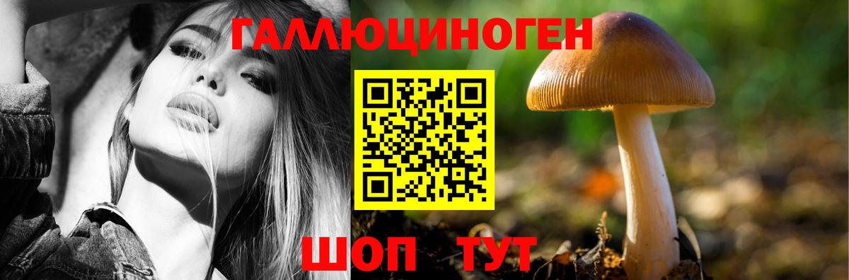 Псилоцибиновые грибы Cubensis  Вход с VPN  Мичуринск  Галлюциногенные грибы Magic Shrooms 